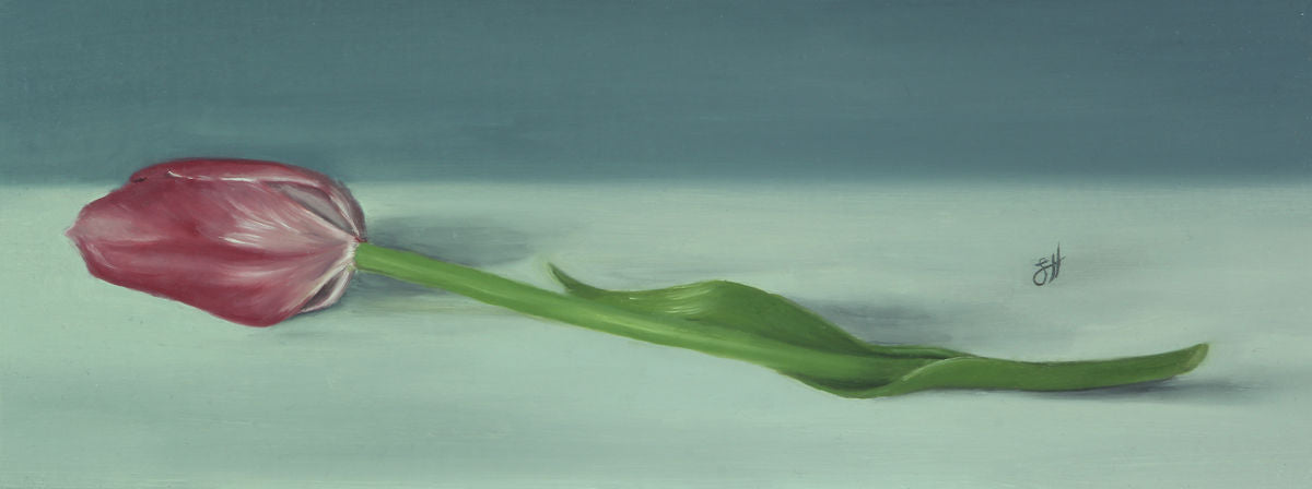 A traditional style oil painting of a single pink tulip flower with a blue background,  painted in a precise realistic style and signed by the artist Sophie Hall.