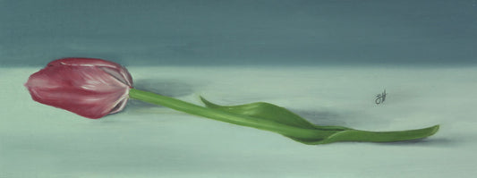 A traditional style oil painting of a single pink tulip flower with a blue background,  painted in a precise realistic style and signed by the artist Sophie Hall.