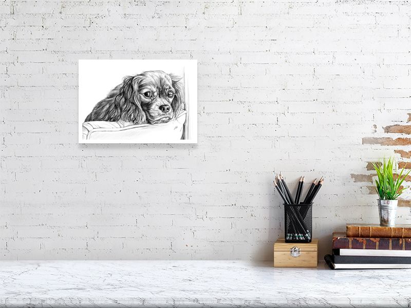 A small unframed pencil drawing of a sad-looking spaniel with long ears, perching it's head over the back of a chair. Print hangs on a white brick wall above a desk and is signed by Sophie Hall.