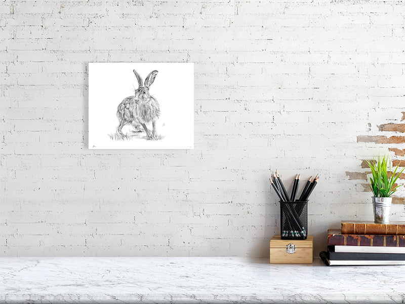 A small pencil sketch of a startled hare with detailed fur texture and upright ears, set against a white background. Signed by Sophie Hall and hanging on a white wall over a desk.