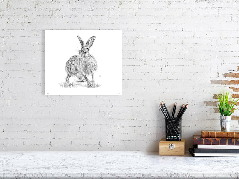 A medium pencil sketch of a startled hare with detailed fur texture and upright ears, set against a white background. Signed by Sophie Hall and hanging on a white brick wall over a desk.