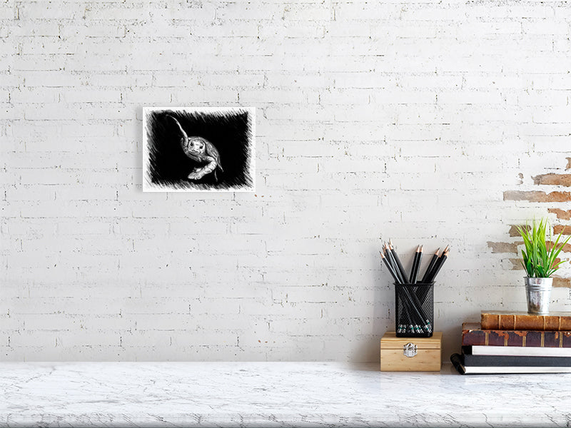 A small unframed pencil sketch of a swimming turtle on a black background, hanging on a white brick wall over a modern desk.
