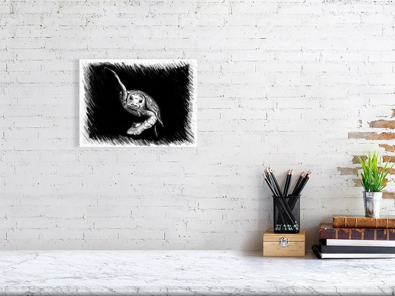 A medium unframed pencil sketch of a swimming turtle on a black background, hanging on a white brick wall over a modern desk.