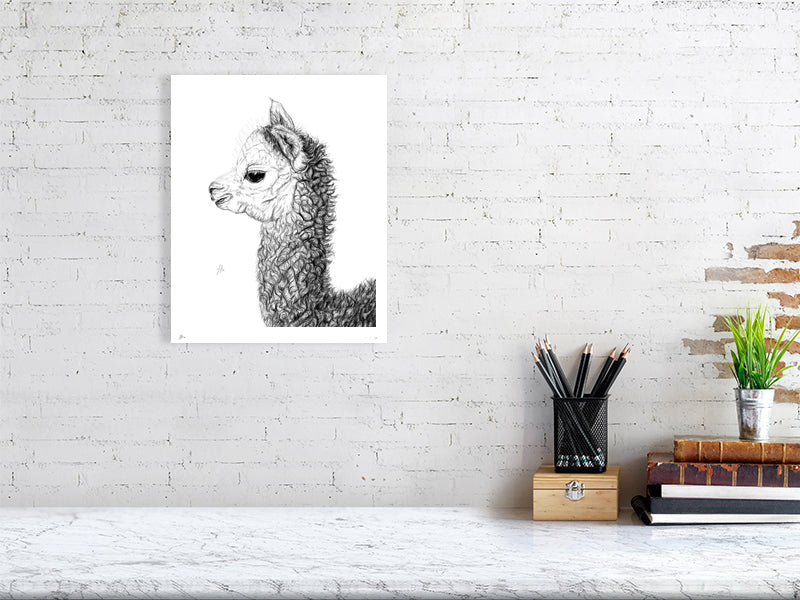 Large unframed drawing of an alpaca, hanging on a white brick wall