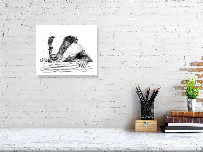 A medium unframed pencil drawing portrait of a baby badger, peeking over a basket edge. By Sophie Hall. Print hangs on a white brick wall.
