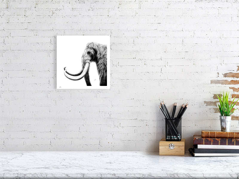 A small unframed pencil drawing of a woolly mammoth on a white background, facing left with tusks prominent. Hanging on a white brick wall over a desk,