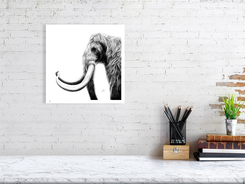 A large unframed pencil drawing of a woolly mammoth on a white background, facing left with tusks prominent. Hanging on a white brick wall over a desk,