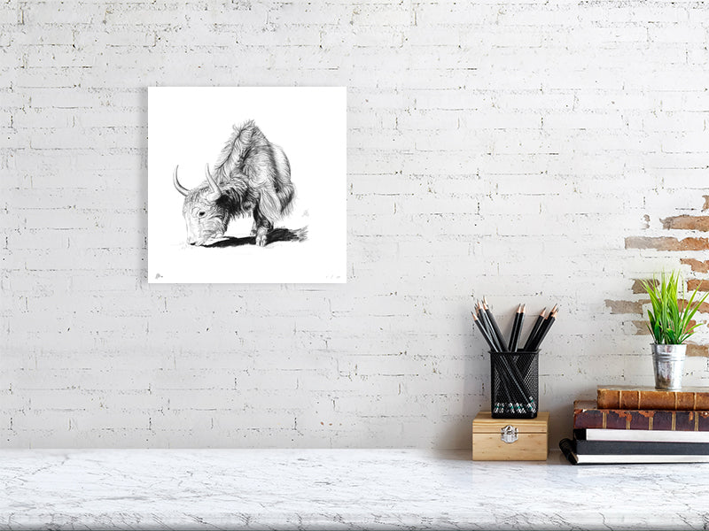 A small unframed print featuring a pencil drawing of a yak, with intricate details and realistic shading. Signed by the artist and hanging on a white brick wall above a desk.