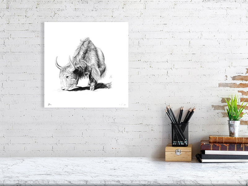 A large unframed print featuring a pencil drawing of a yak, with intricate details and realistic shading. Signed by the artist and hanging on a white brick wall above a desk.