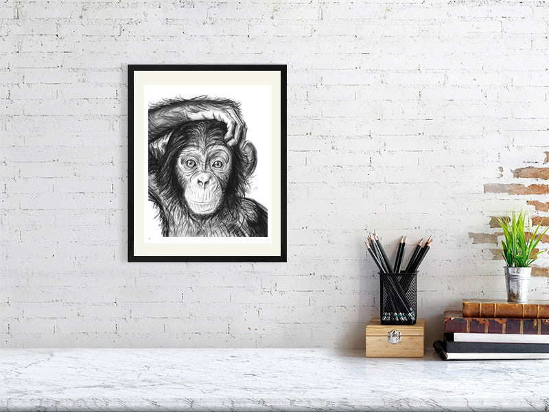 A framed pencil drawing of a young chimpanzee with a mischievous expression, with a detailed depiction of its facial features. Signed and numbered by Sophie Hall and hanging on a white brick wall over a desk.