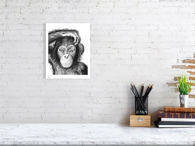 A small unframed pencil drawing of a young chimpanzee with a mischievous expression, with a detailed depiction of its facial features. Signed and numbered by Sophie Hall and hanging on a white brick wall over a desk.