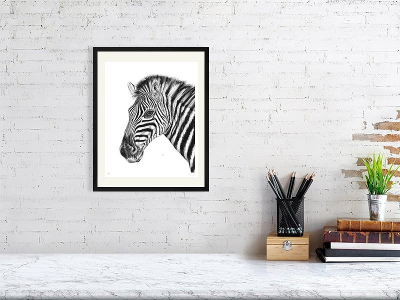 A medium framed pencil drawing of a zebra, hanging on an white brick wall over a marble desk. Signed and numbered by the artist.
