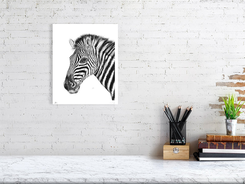 A medium unframed pencil drawing of a zebra, hanging on an white brick wall over a marble desk.
