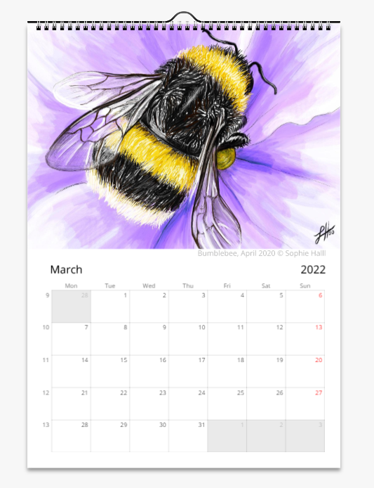 Animal Art Wall Calendar (2025)