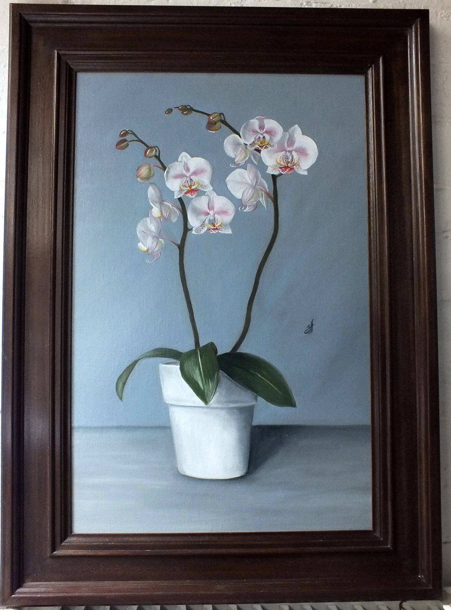 Winter Orchids