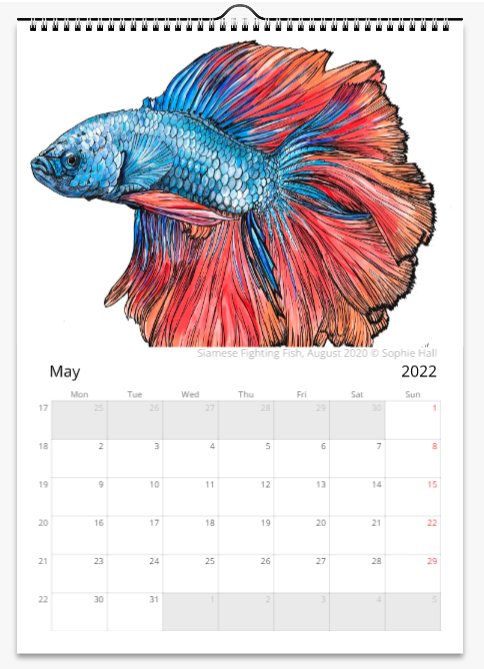 Animal Art Wall Calendar 2024 (Colour)