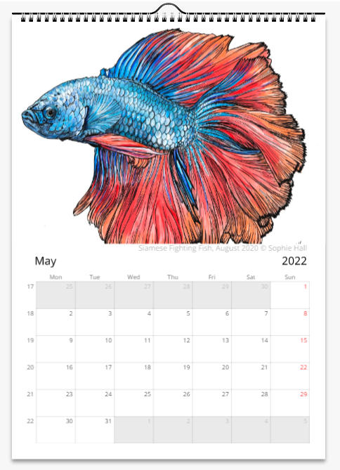 Animal Art Wall Calendar (2025)
