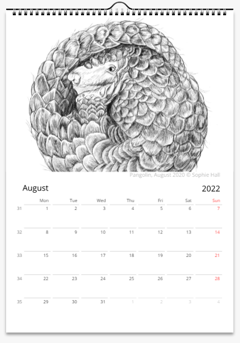 Animal Drawings Wall Calendar 2024 (Black & White)