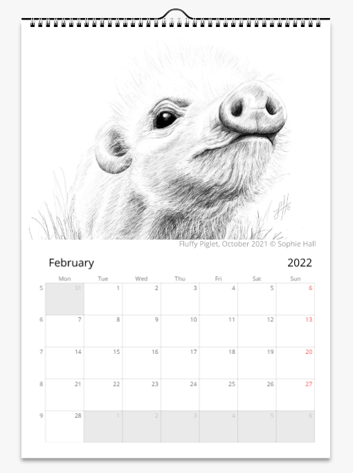 Animal Art Wall Calendar (2025)