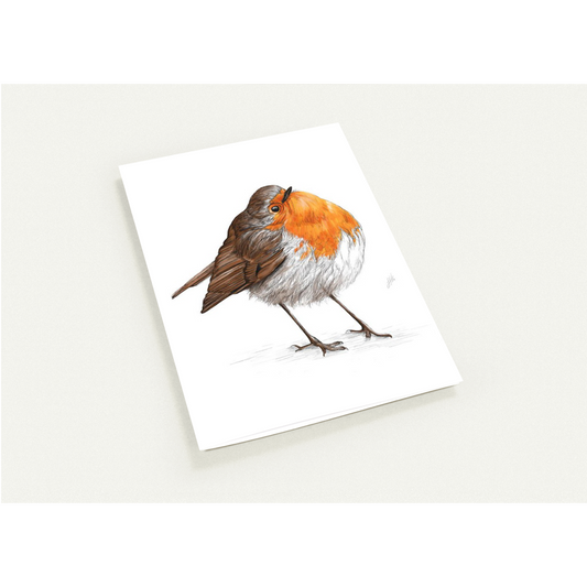 Chubby Robin Greetings Cards (Pack of 10)