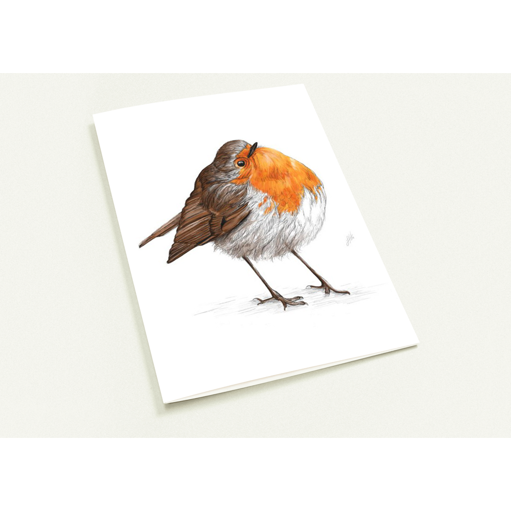 Chubby Robin Greetings Cards (Pack of 10)
