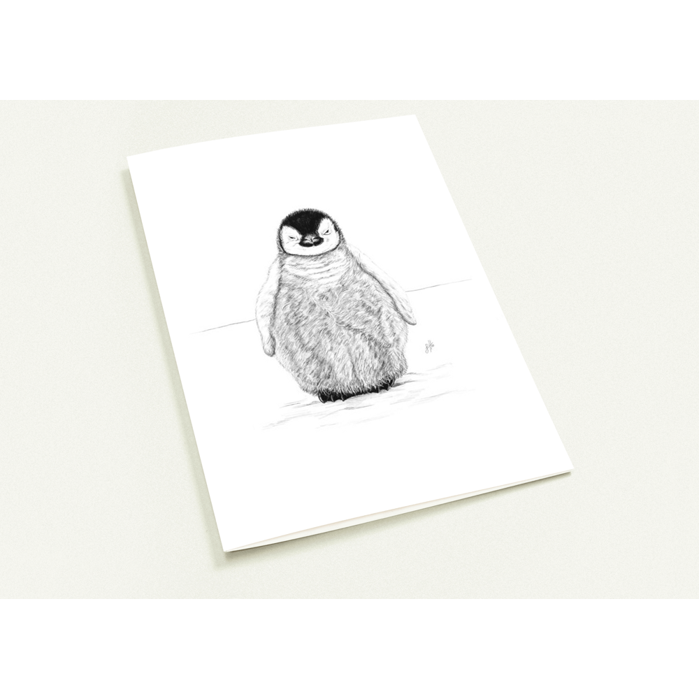 Baby Penguin Greetings Cards (Pack of 10)