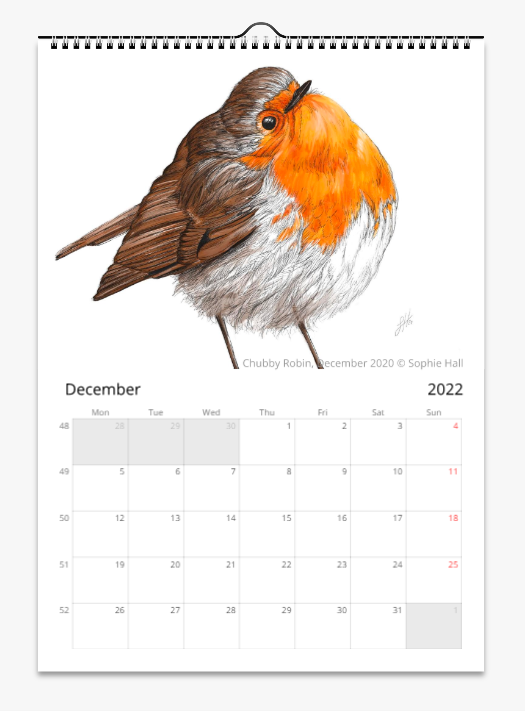 Animal Art Wall Calendar (2025)